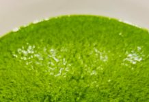 Rețeta săptămânii – Cooking Adventures In The Nature: Pesto de leurdă