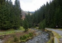 Cele două Bistriţe de pe Plaiul Oltean