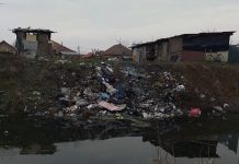 Amenzi pentru abandonarea deșeurilor pe o stradă din Târgu-Jiu