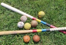 9 mai – Ziua naţională a oinei