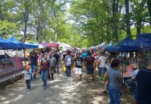 Spectacole în aer liber la Târgu-Jiu