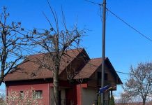 Străzile din Motru, maturate mecanizat prima oară în ultimii 40 de ani