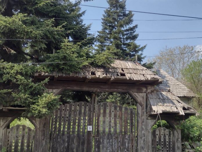 342383126_1971084359891167_5927375870974749401_n