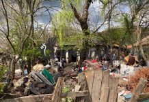 VIDEO: Animale confiscate pentru că erau crescute în condiții improprii!