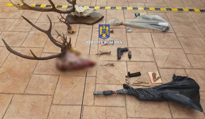 E9323F34-83C2-4818-BC55-AE8B7E360EC4