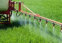 Agricultura pe înțelesul tuturor – Graficul lucrărilor agricole în luna aprilie