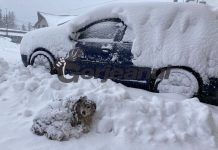 Viscol și ninsori la Rânca!