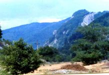 Există, oare, legi ale muntelui?