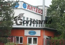 Artego distribuie dividende de 7 milioane lei
