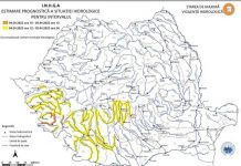 Cod galben de inundații