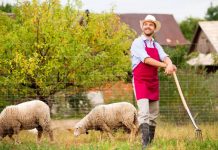 Fonduri UE pentru tinerii fermieri