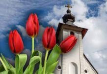 Floriile: 1,8 miloane de români au nume de flori