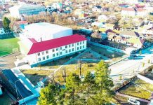 Aur pentru doi elevi din Novaci la olimpiadele naționale