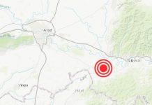 Cutremur de 4,6 la Arad