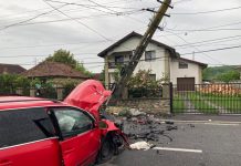 Accident la Arcani generat de o pisică! Satul, lăsat fără curent!