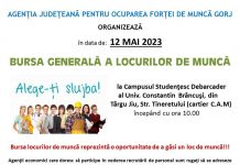 O mie de slujbe oferite în Gorj la Bursa locurilor de muncă