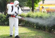 Târgu Jiu: Începe etapa a doua a acțiunii de dezinsecție