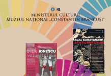 Târgu Jiu: Muzeul Brâncuși, deschis de „Noaptea Muzeelor”. Programul!