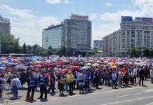 Profesorii continuă greva