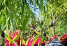 VIDEO: Tânărul din Stejari, salvat de colegii săi!