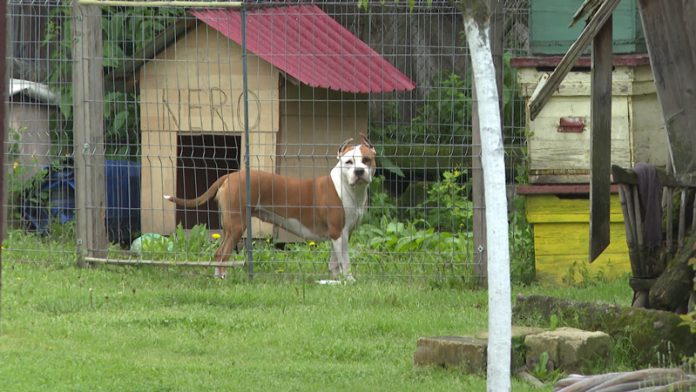 vlcsnap-2023-05-29-15h46m34s363