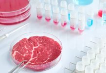 PSD vrea să interzică prin lege comercializarea cărnii sintetice