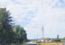 Tismana: Cățel legat de mașina în mers