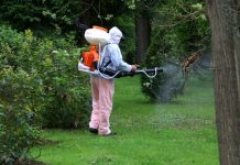 Dezinsecție la Rovinari