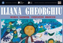 Expoziție „Priviri spre cer”, miercuri, la Târgu Jiu