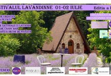 Ateliere creative și multe surprize la Festivalul Lavandinne