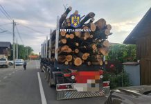 Material lemnos, confiscat de polițiști de la o societate din Bengești-Ciocadia
