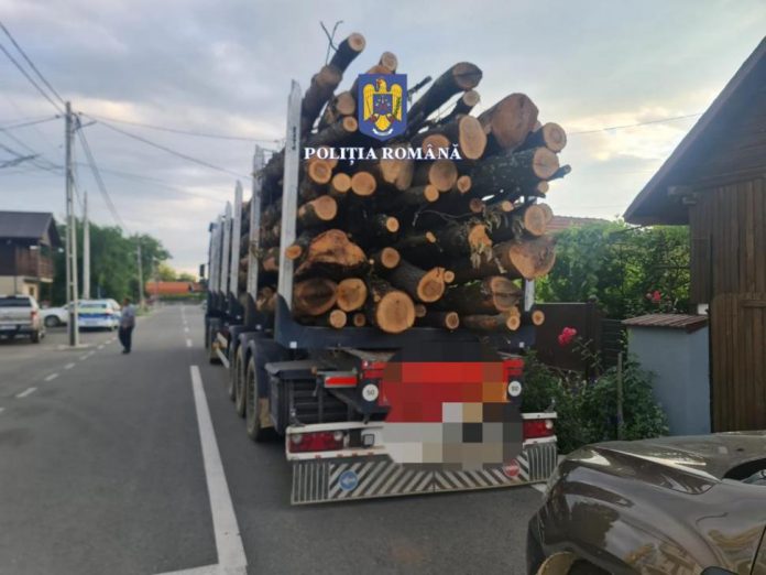 Material lemnos, confiscat de polițiști de la o societate din Bengești-Ciocadia