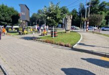 Târgu Jiu: Spațiile verzi din jurul Pieței Centrale au fost regenerate