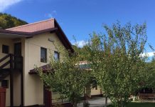 Tineri din diaspora, în tabără la Săcelu