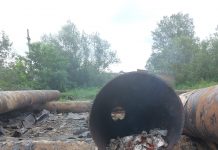 Firmă amendată la Cărbunești