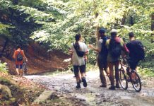 Muntele și teribilismul