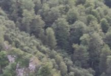 FOTO/VIDEO| Sute de turiști blocați în munte! Salvamont Gorj este acolo