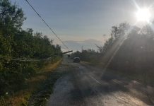 FOTO, VIDEO| Stâlp de electricitate doborât, pe DN 67