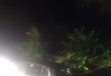 Targu Jiu, cartier 9 Mai, FOTO: Luneta unei mașini, străpunsă de un copac