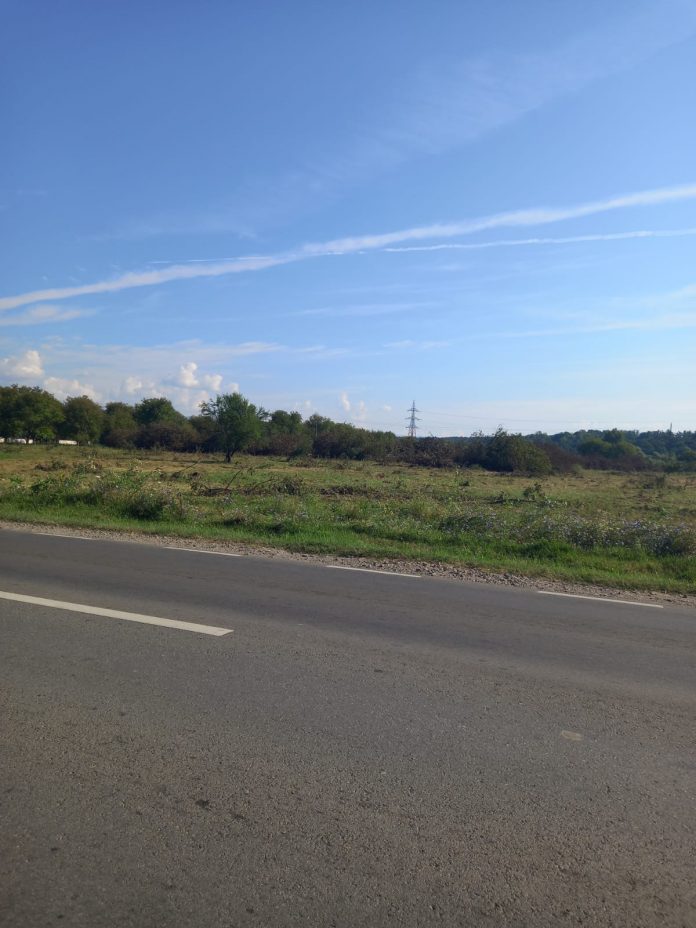 WhatsApp Image 2023-07-30 at 09.24.54