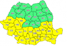 Cod galben de caniculă