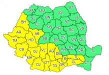 Cod galben de caniculă