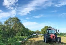 Lucrări de întreținere a digurilor din Gorj