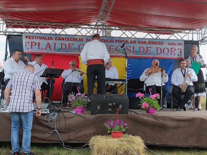 festival ciuperceni (2)