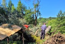 Glogova: Copaci smulși din rădăcini, punte pietonală impracticabilă
