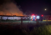 VIDEO| Urechești: Incendiu lichidat azi-noapte. A ars magazia dintr-o gospodărie