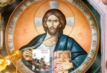 Educaţia…şi Lecţia de viaţă! – De la lume adunate, înapoi la lume date! – Trăim într-o lume a publicităţii şi a clipelor dominate de psihoza «animalelor bolnave»!