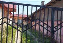 47 de dosare penale în scandalul azilelor groazei