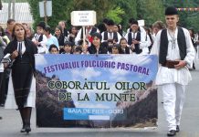 În lumea băieșilor gorjeni – Coboară oile de la munte