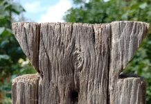 Gazeta Gorjului – Invitație la… Muzeu